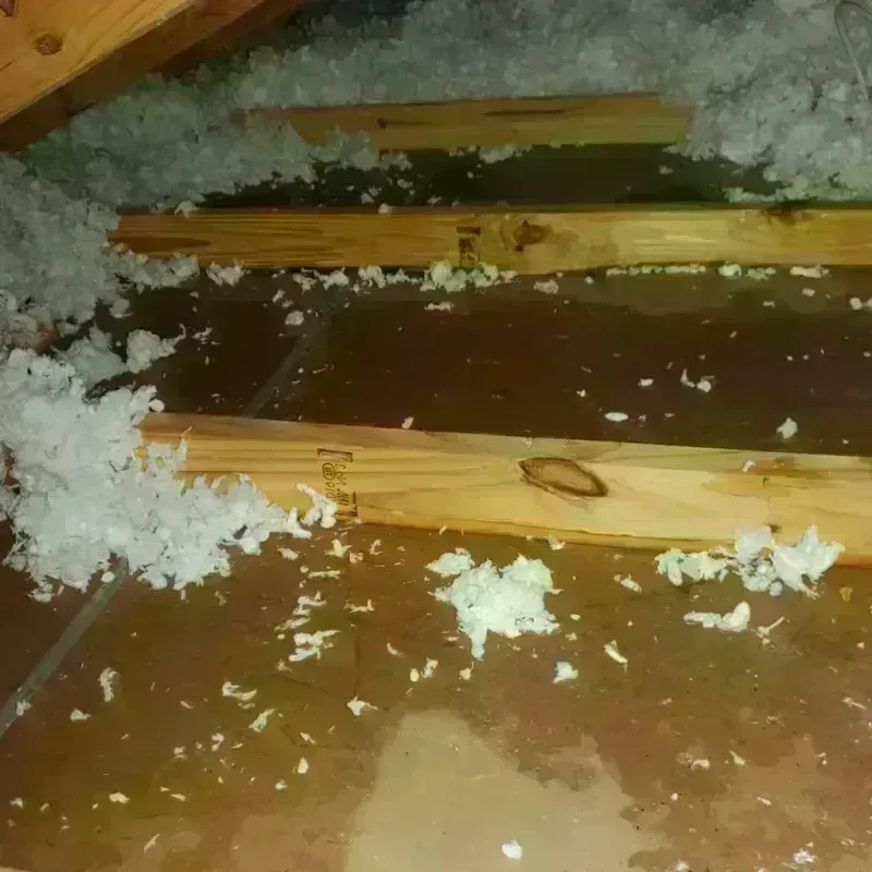 Attic Water Damage in Shasta County, CA