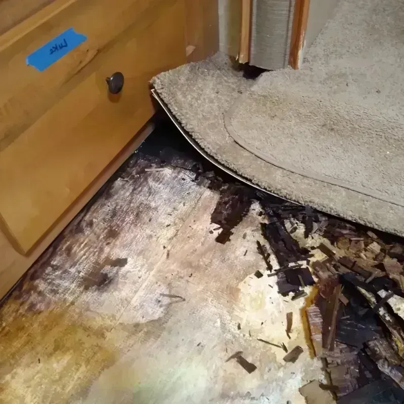 Wood Floor Water Damage in Shasta County, CA